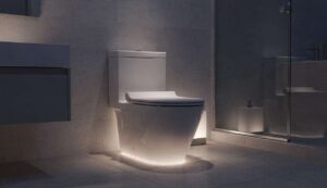 Wasser ins WC gießen vor dem Schlafengehen: Am Morgen sind Kalkflecken verschwunden